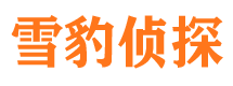 九龙坡调查公司